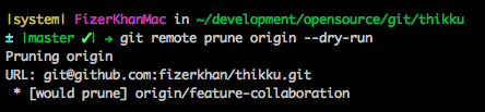 git remote prune origin --dry-run