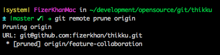 git remote prune origin